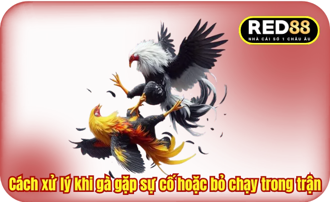 Cách xử lý khi gà gặp sự cố hoặc bỏ chạy trong trận