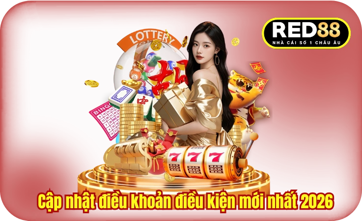 Cập nhật điều khoản điều kiện mới nhất 2026