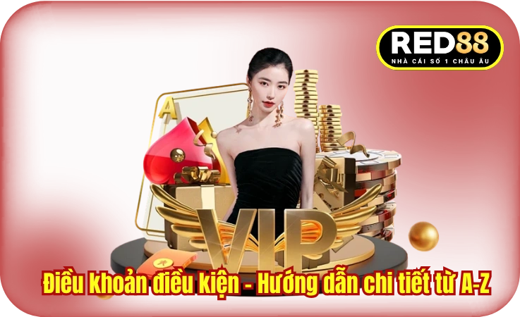 Điều khoản điều kiện - Hướng dẫn chi tiết từ A đến Z