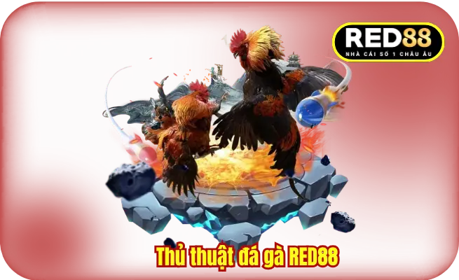 Thủ Thuật Đá Gà RED88